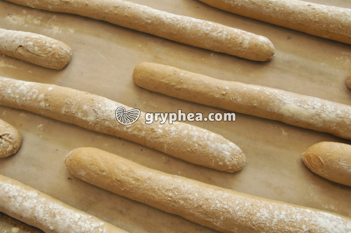 Sortie des baguettes après cuisson (détail) - gryphea.com